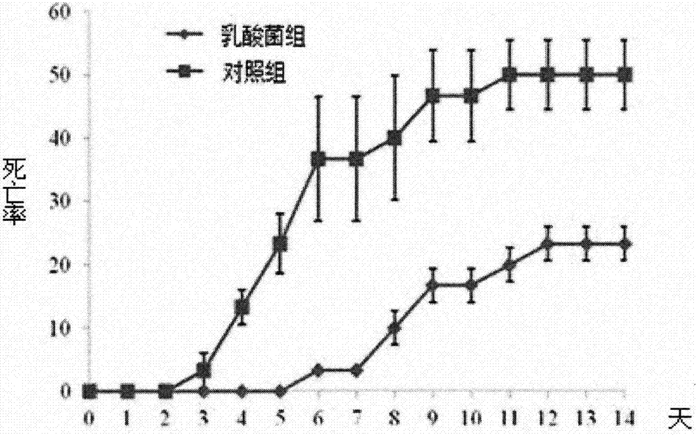 一种水产用乳酸菌制剂及其制备方法与流程