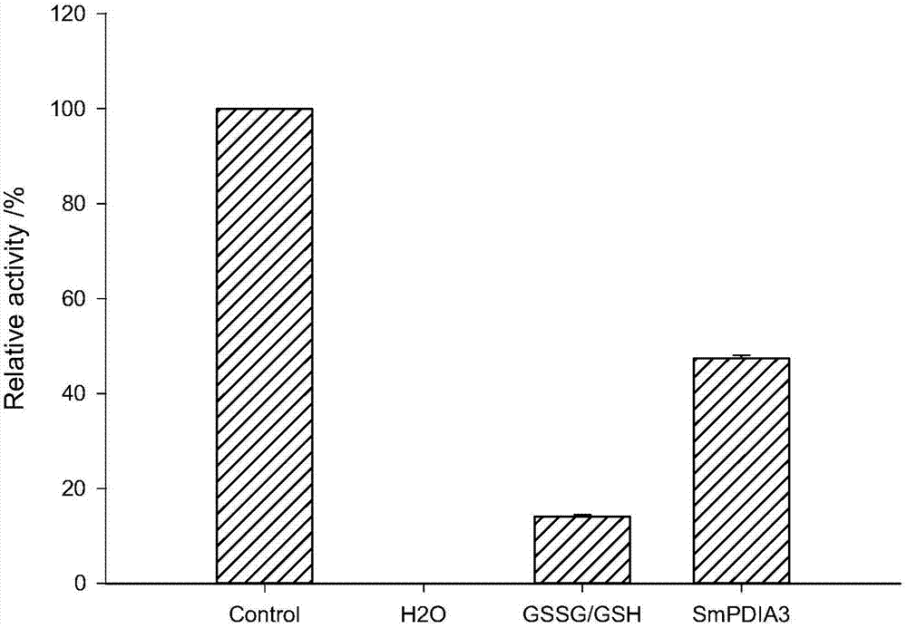大菱鲆蛋白质二硫键异构酶A3的重组蛋白及其制备和应用的制作方法