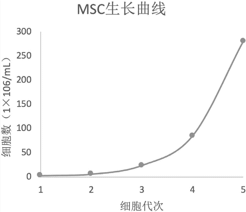 一种脐带间充质干细胞分离方法与流程