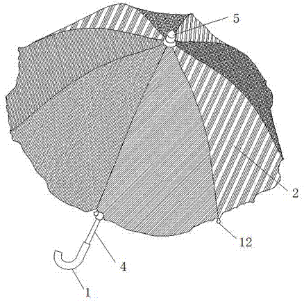 一种丸骨吸顶蜂巢构造雨伞的制作方法