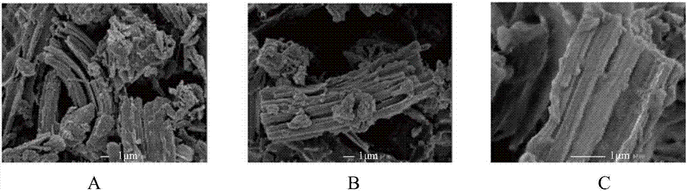 冬瓜蜡在作为防腐剂和抗微生物剂中的用途的制作方法