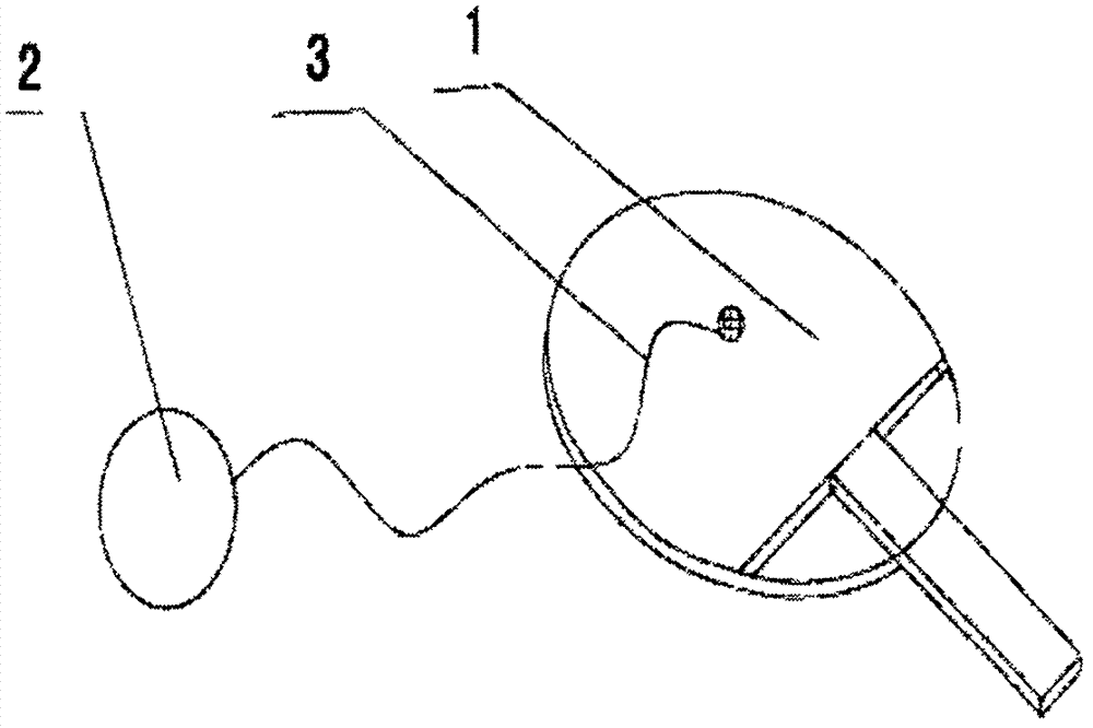 带有球的乒乓球拍的制作方法