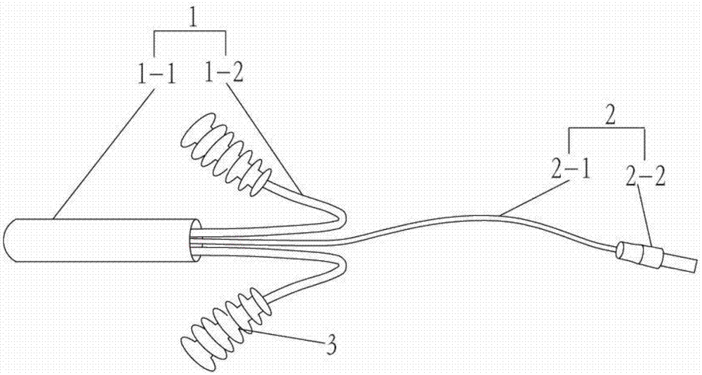 防脱落体内检测仪及用于畜体的检测系统的制作方法