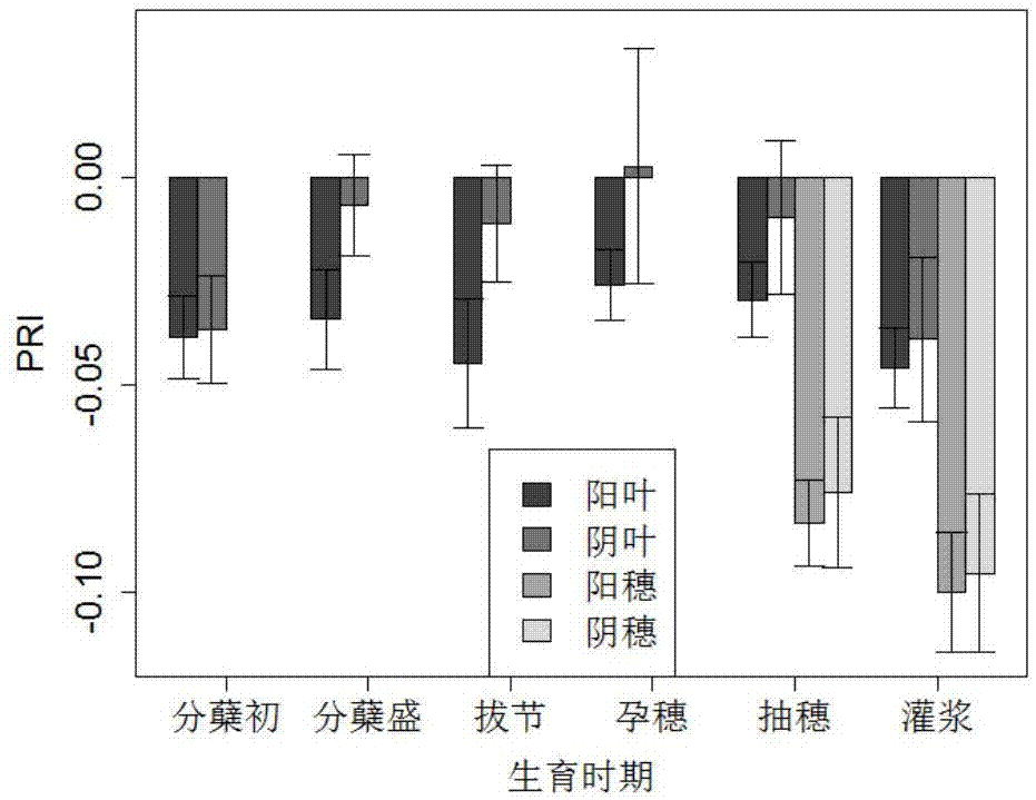 一种基于近地面高光谱影像的水稻阴阳叶穗识别方法与流程