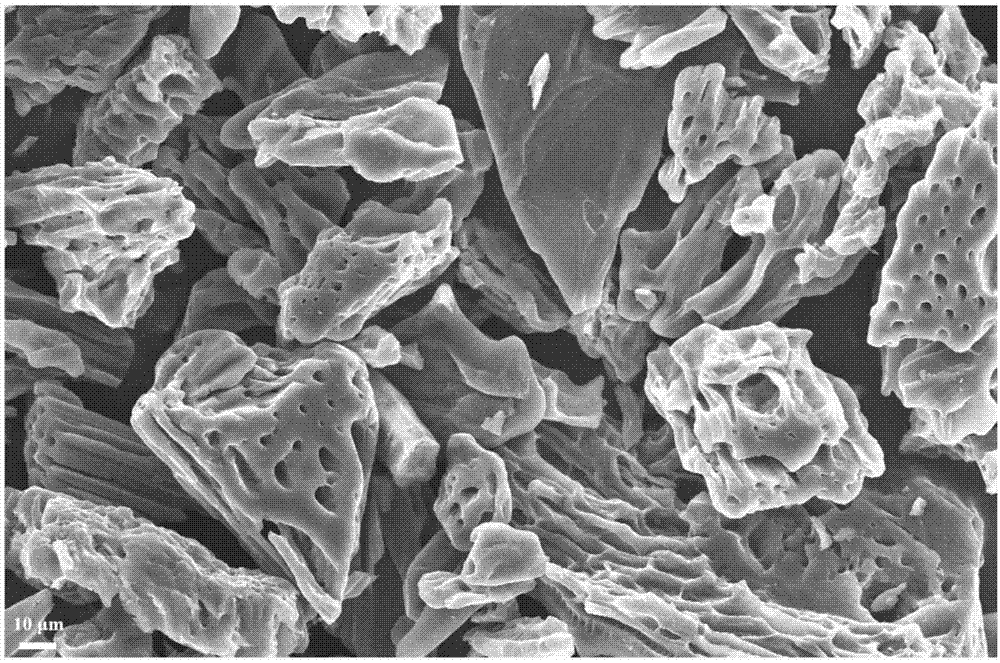 一种松塔基制备生物活性炭的方法及其应用与流程