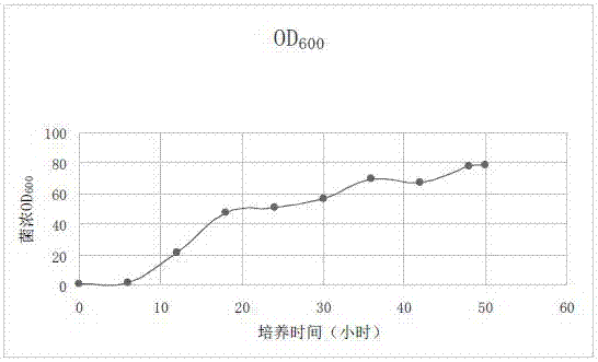 一种环保用复合微生物菌剂固体颗粒产品及其制备方法与流程