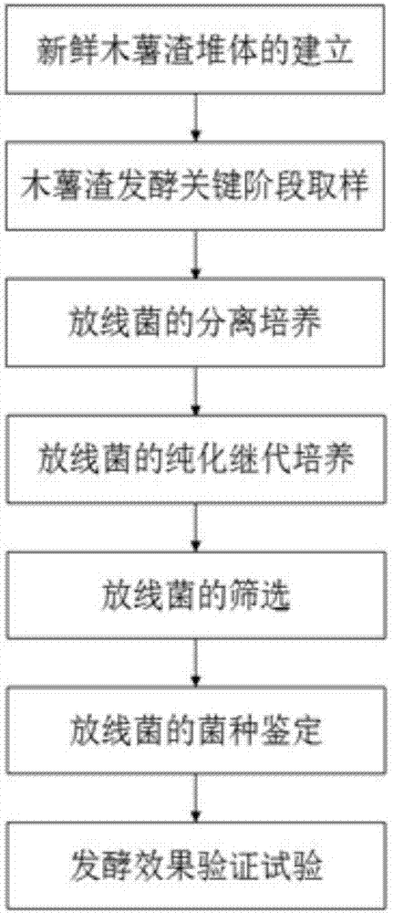 一种促进木薯渣基质发酵进程的放线菌的分离方法与流程