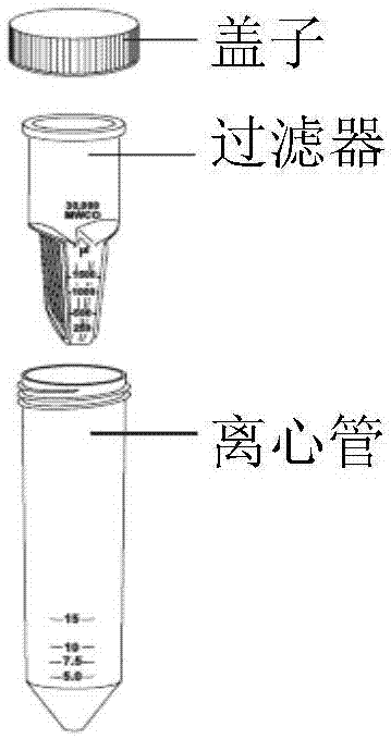 外泌体的制备及构建外泌体小RNA文库的方法与流程