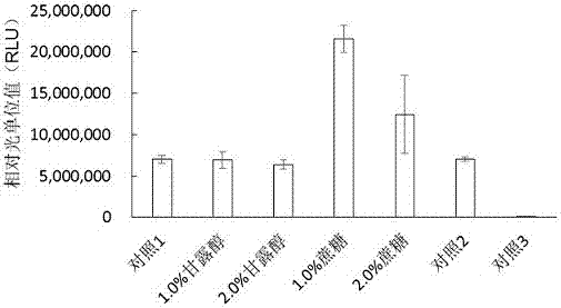 一种蛋白合成冻干制剂及其制备方法和应用与流程