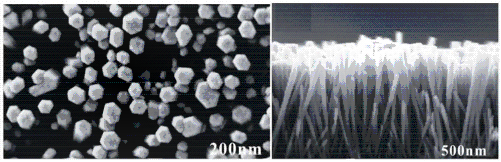 一种金属氧化物纳米草的制备方法与流程