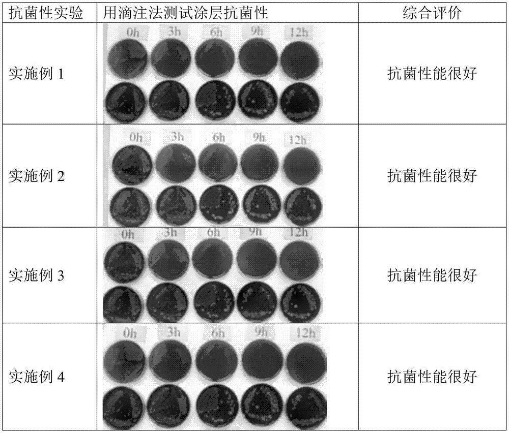 一种水性抗菌涂料的制作方法