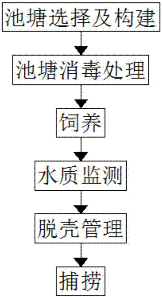 一种小龙虾养殖方法与流程