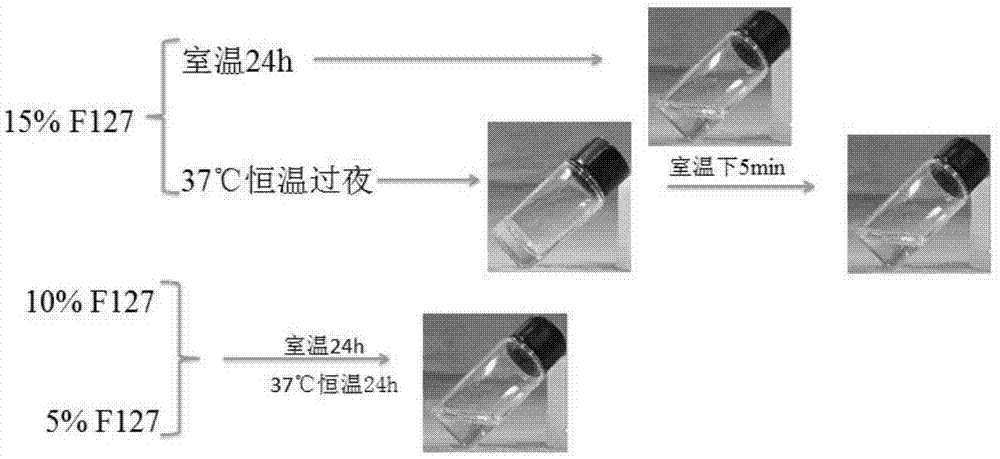 一种超分子水凝胶载药体系及其制备方法与流程