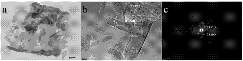 双功能β-FeOOH/eg-C3N4复合纳米材料及其制备方法和应用与流程