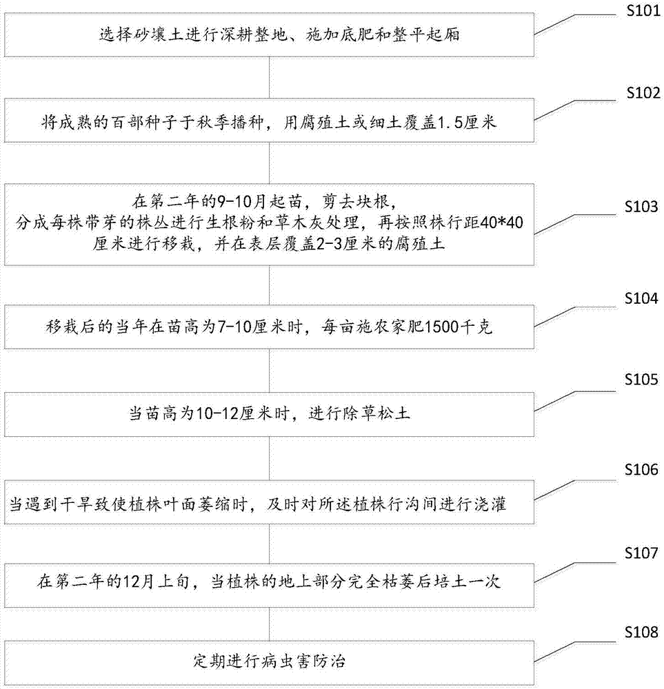 一种百部种植方法与流程