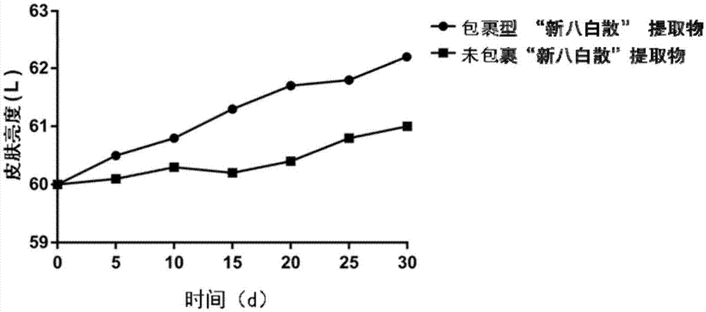 一种可以美白祛斑的包裹型新八白散及其制备方法与流程