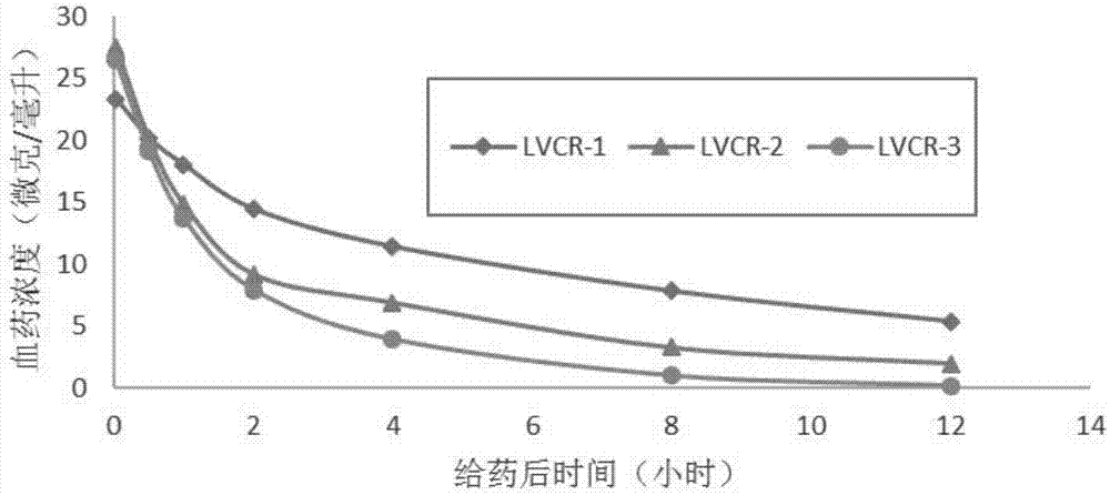 脂质体组合物、其制备方法及其应用与流程