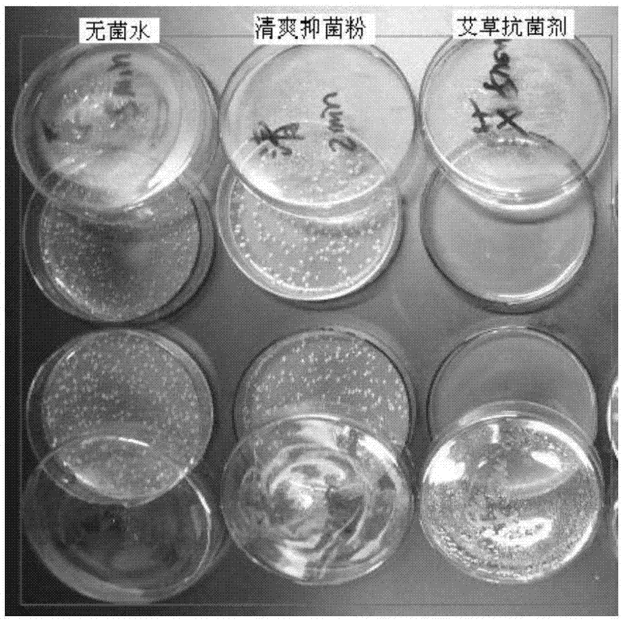 艾草抗菌剂及其制备方法与流程