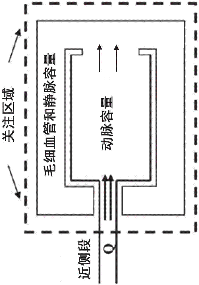 用于确定血管容量和冠状血流量的方法、装置及系统与流程