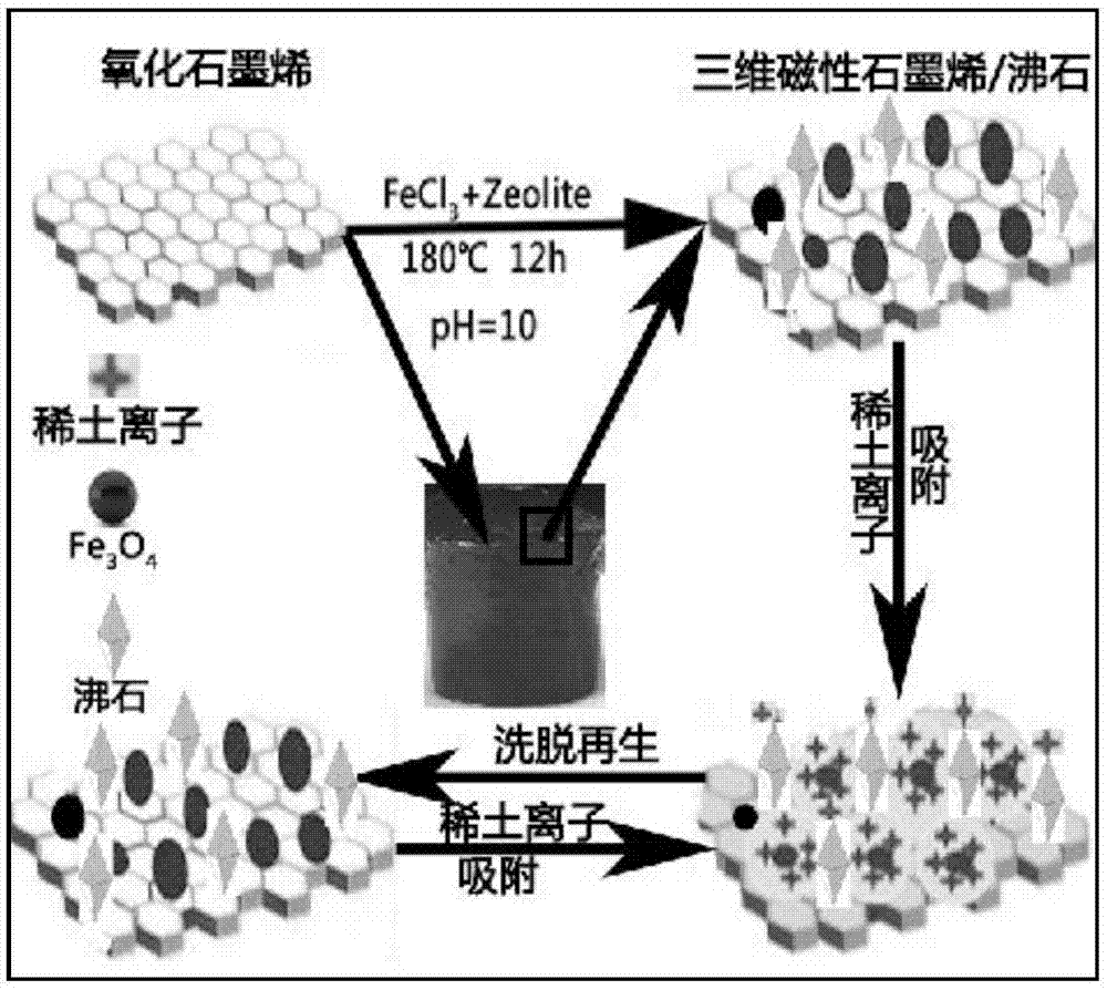 一种高效再生吸附稀土离子的三维磁性石墨烯/沸石材料的制备方法与