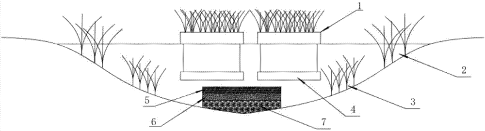 一种植物活性净化污水湖系统的制作方法