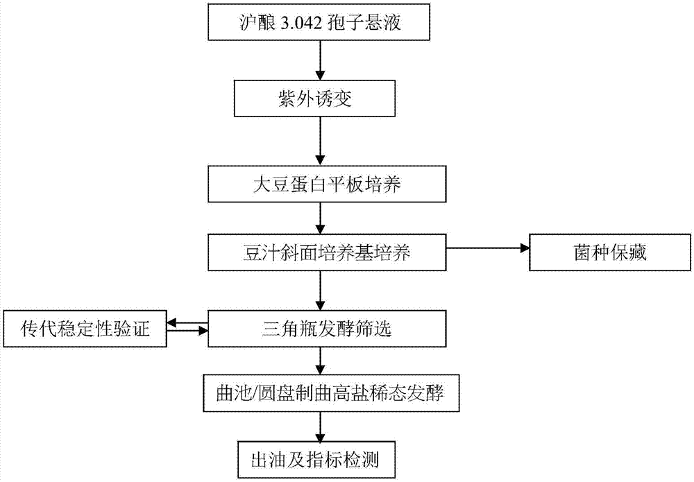 一株米曲霉ZA132及其应用的制作方法