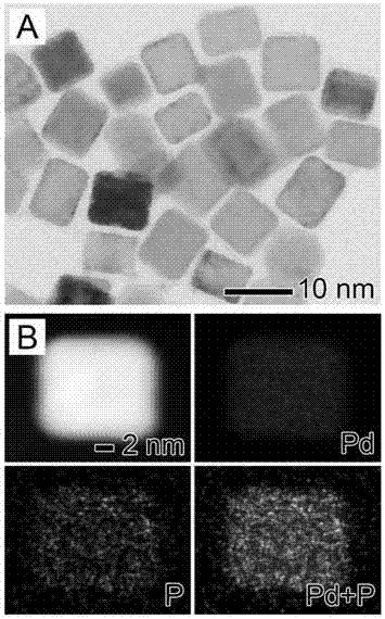 表面掺杂磷元素的钯立方纳米晶及其制备方法和应用与流程