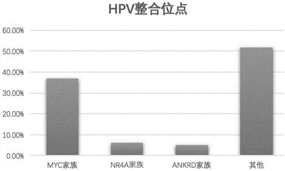 宫颈小细胞癌相关的HPV整合基因位点及其应用的制作方法