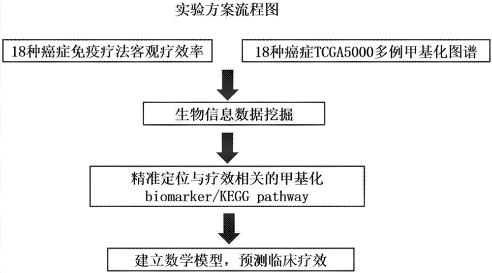 用于预测PD1/L1抑制剂疗效的生物标记物和方法与流程