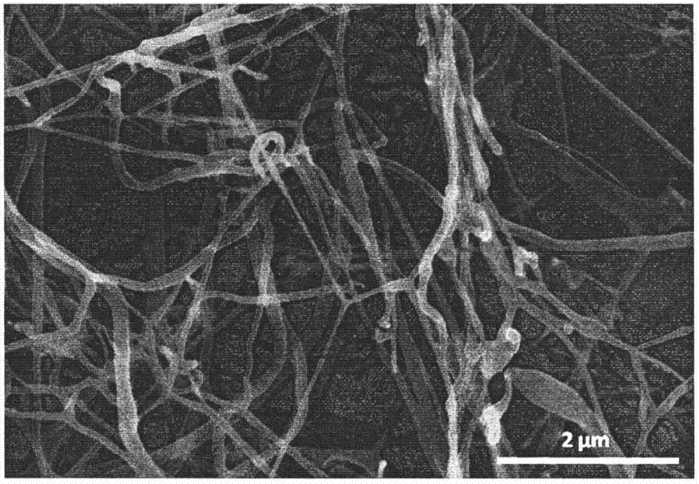 氨基甲酰乙基微纤化纤维素及其制备方法与流程