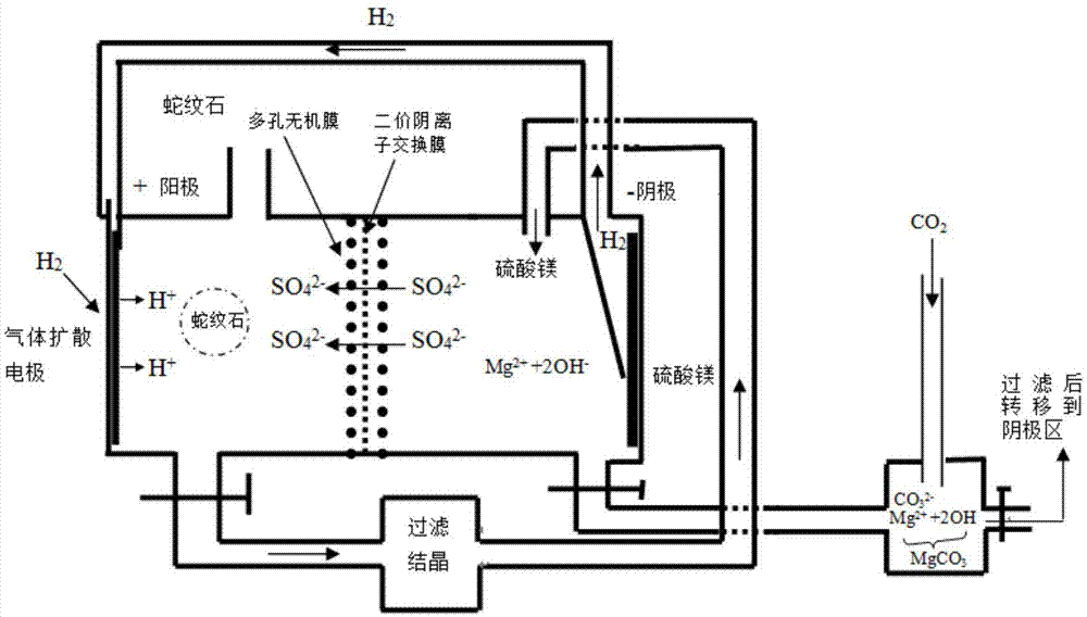 利用膜电化学原位浸取蛇纹石同时Mg2+封存CO2的装置及方法与流程