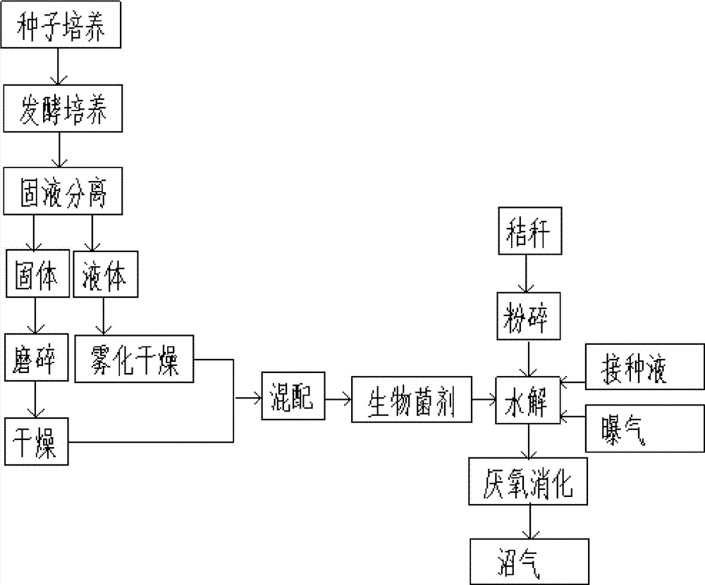 一种用于秸秆沼气发酵预处理的生物菌剂生产方法及应用与流程