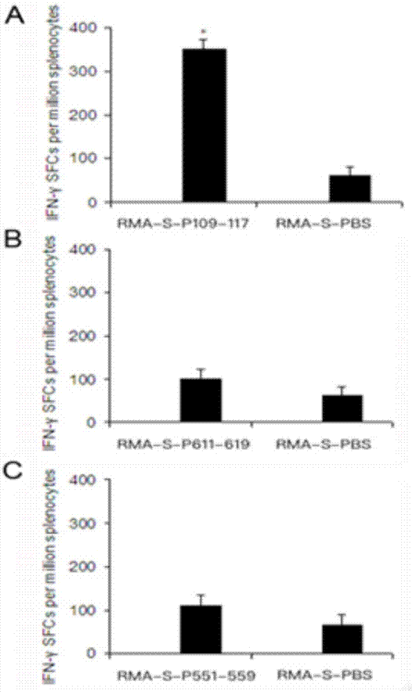 一种HLA-0201限制性PADI4表位多肽及其应用的制作方法