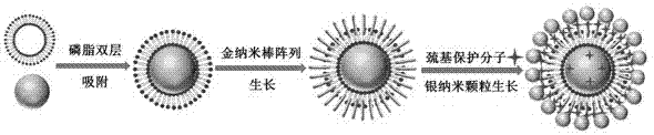 一种核-卫星型金银复合纳米SERS基底及其制备方法与流程