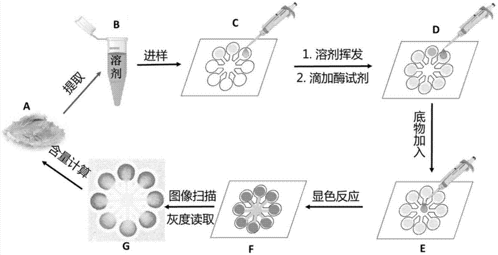 一种用有机溶剂提取样品快速检测农药残留的方法与流程