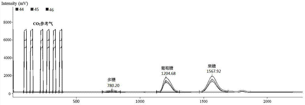 一种用于葡萄汁真伪鉴定的液相色谱-同位素质谱联用方法与流程