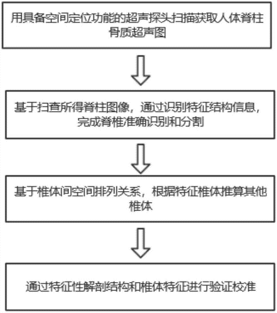 一种基于脊柱超声冠状面图像的自动化椎体识别方法与流程