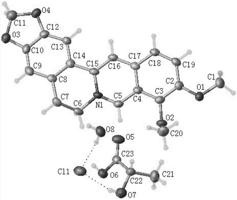 盐酸小檗碱与乳酸共晶、其制备方法和应用与流程