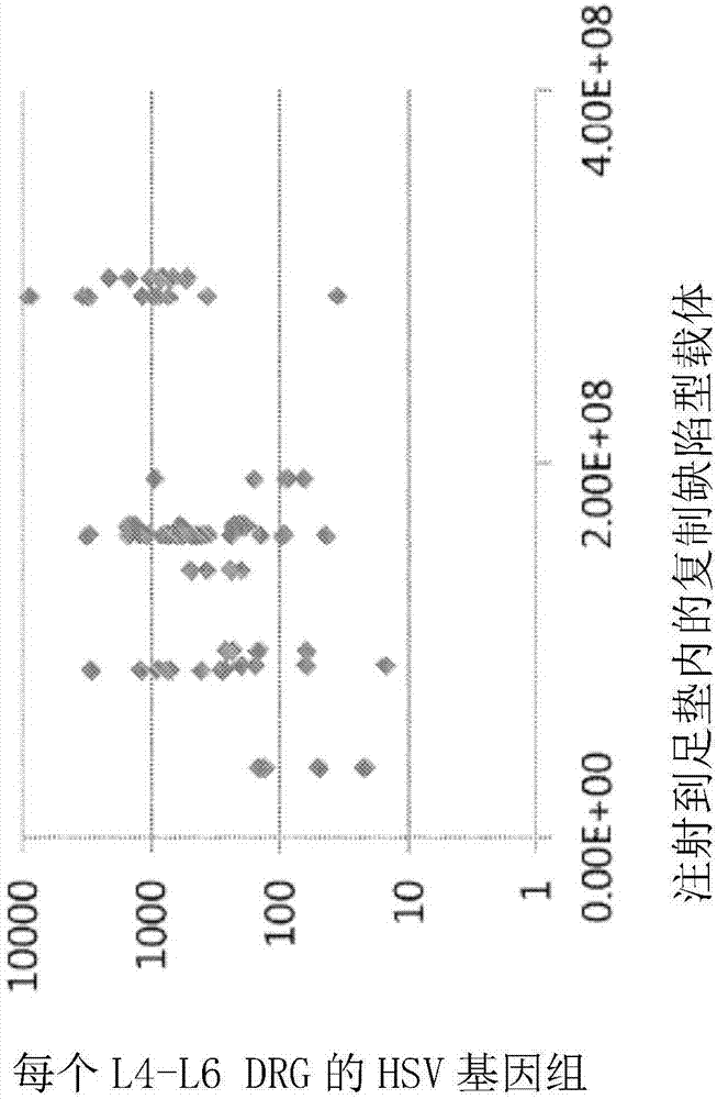 高转导HSV载体的制作方法