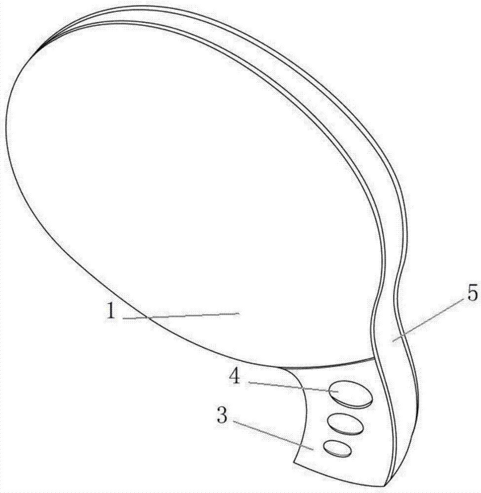 图2是本实用新型乒乓球拍一实施例的正视结构示意图.