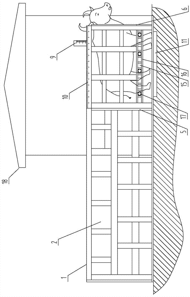 围栏式活牛体尺测量通道的制作方法