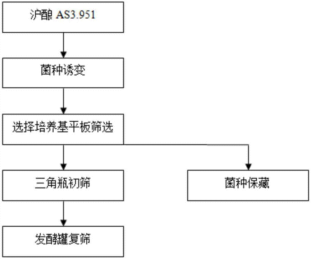 一种米曲霉ZA151及其应用的制作方法