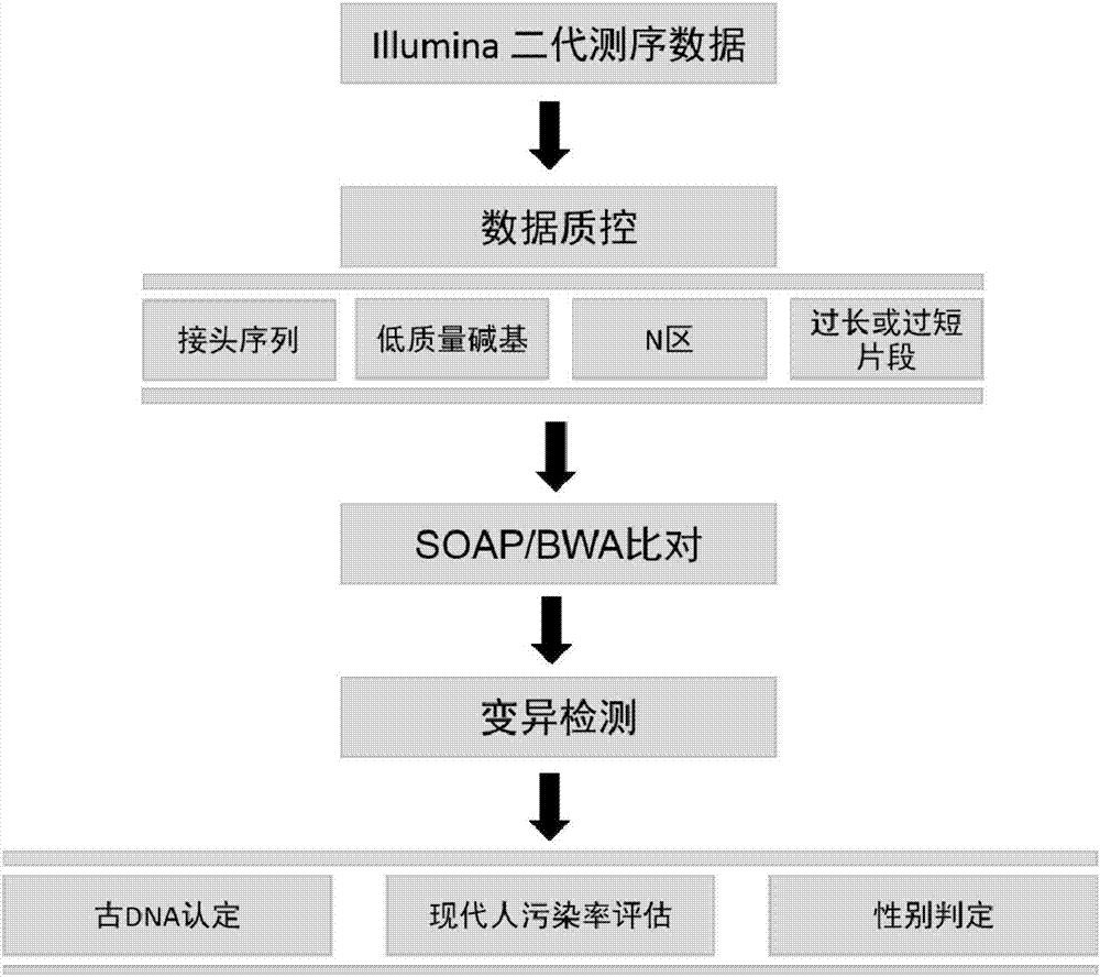 鉴定和分析古DNA样本的方法与流程