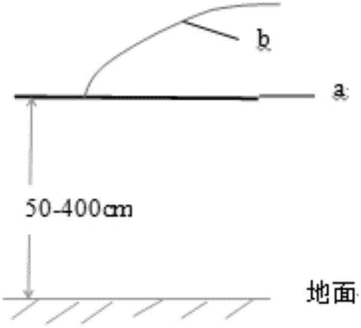 一种果树单枝更新的悬挂式长枝结果枝组及培养方法与流程