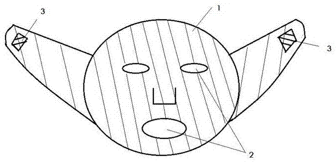 一种塑形面部提升物及其用途的制作方法