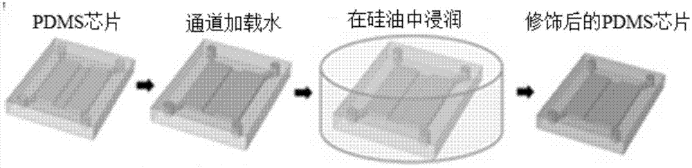 PDMS基底的表面修饰方法和微流控装置与流程