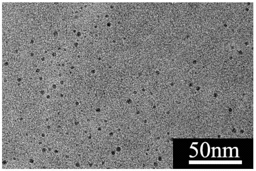 一种碳量子点及其绿色制备方法及应用与流程