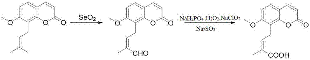 蛇床子素单端甲基氧化衍生物的制备方法与流程