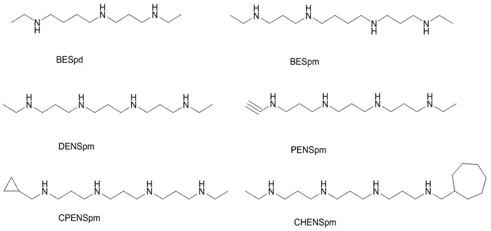 一种四价铂多胺配合物、其制备方法及应用与流程
