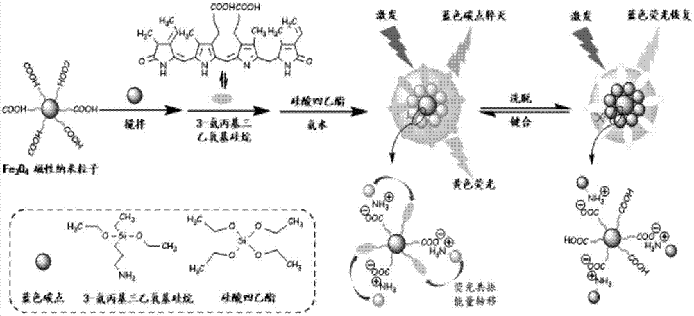 一种基于磁性分子印迹核/壳聚合物的藻红蛋白比率荧光传感器的制备方法与流程